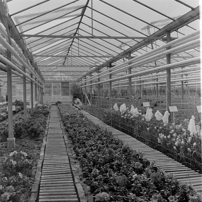 minerva_1967-1973_c1_c4r8_002