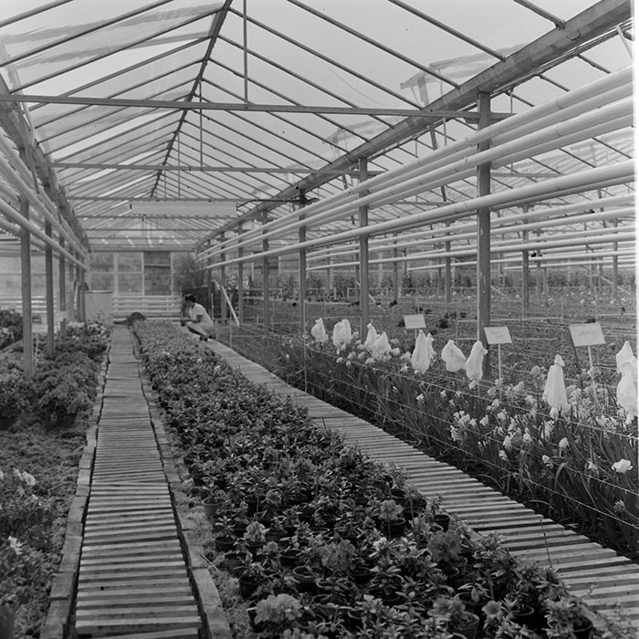 minerva_1967-1973_c1_c4r8_003