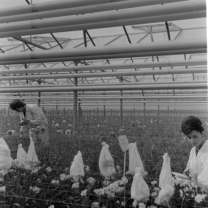 minerva_1967-1973_c1_c4r8_005