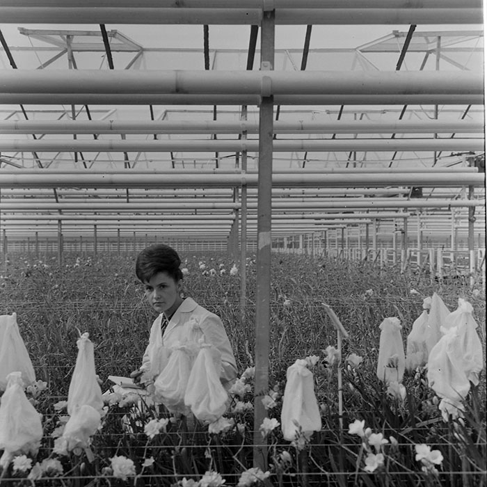 minerva_1967-1973_c1_c4r8_006