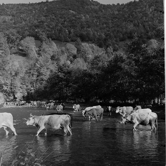 minerva_1967-1973_c1_c4r9_017