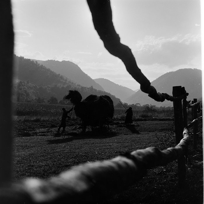 minerva_1967-1973_c1_c4r9_034