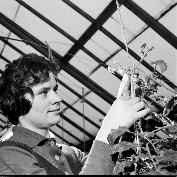 minerva_1967-1973_c2r1_035