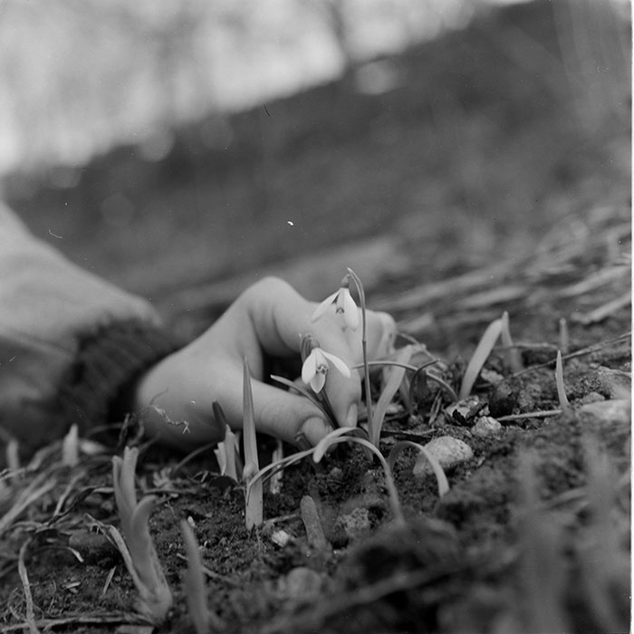 minerva_1967-1973_c2r1_039