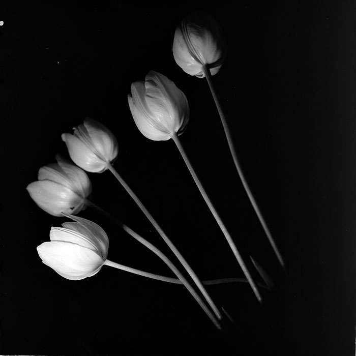 minerva_1967-1973_c2r1_074