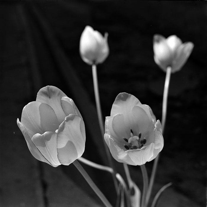 minerva_1967-1973_c2r1_075