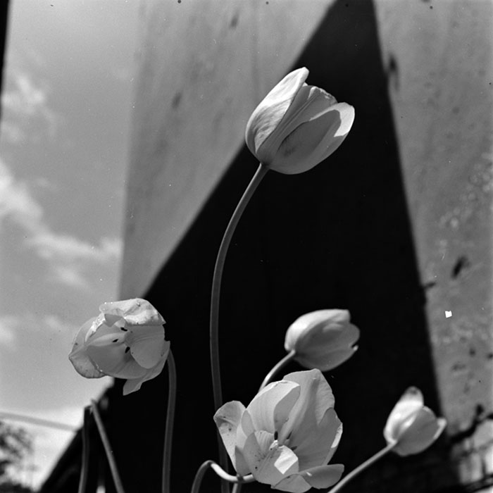 minerva_1967-1973_c2r1_076