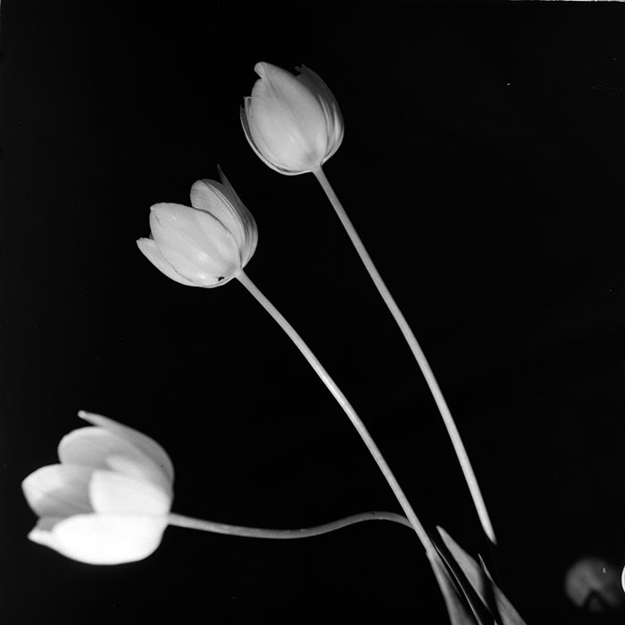 minerva_1967-1973_c2r1_077