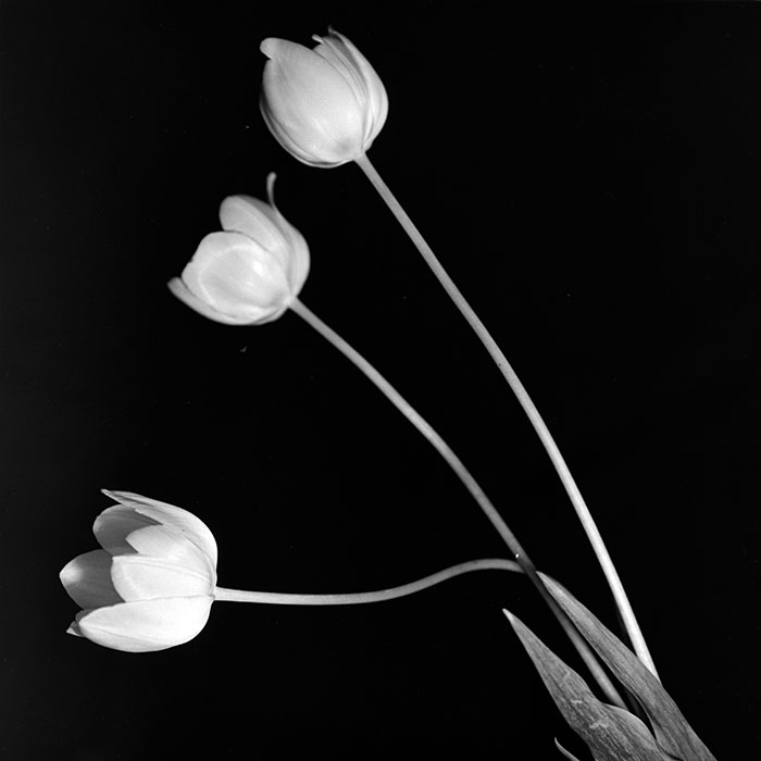 minerva_1967-1973_c2r1_078