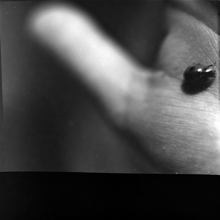 minerva_1967-1973_c2r1_080