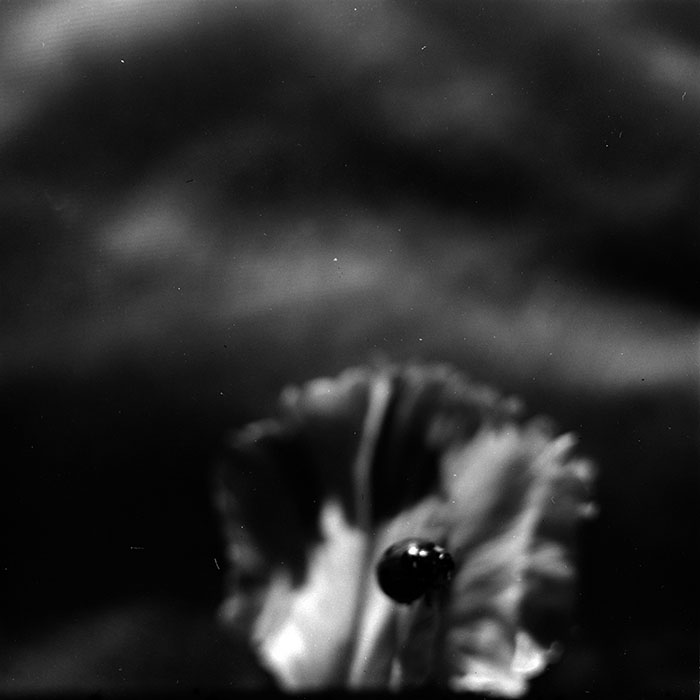 minerva_1967-1973_c2r1_081