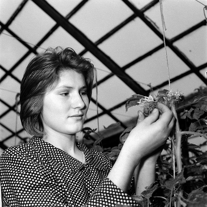 minerva_1967-1973_c2r1_083