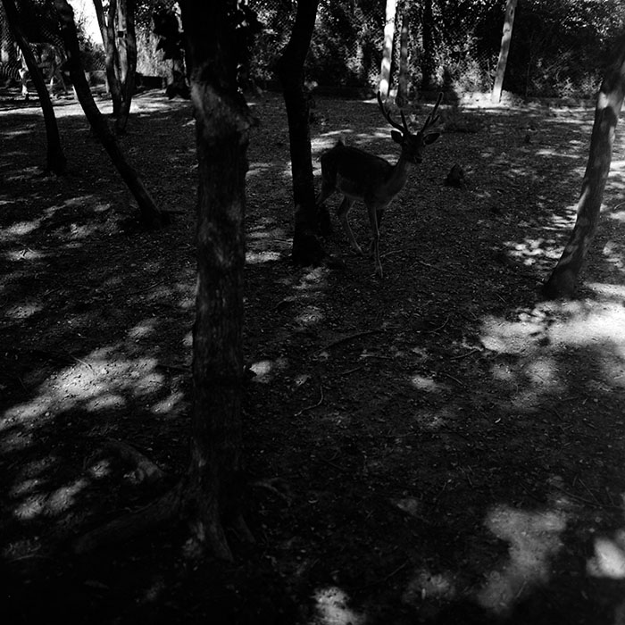 minerva_1967-1973_c2r3_001