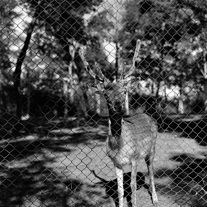 minerva_1967-1973_c2r3_002