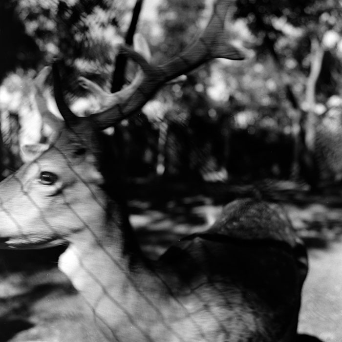 minerva_1967-1973_c2r3_003