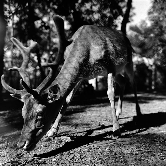 minerva_1967-1973_c2r3_005