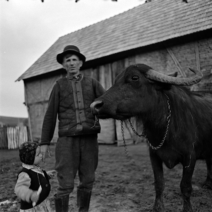 minerva_1967-1973_c2r7_014