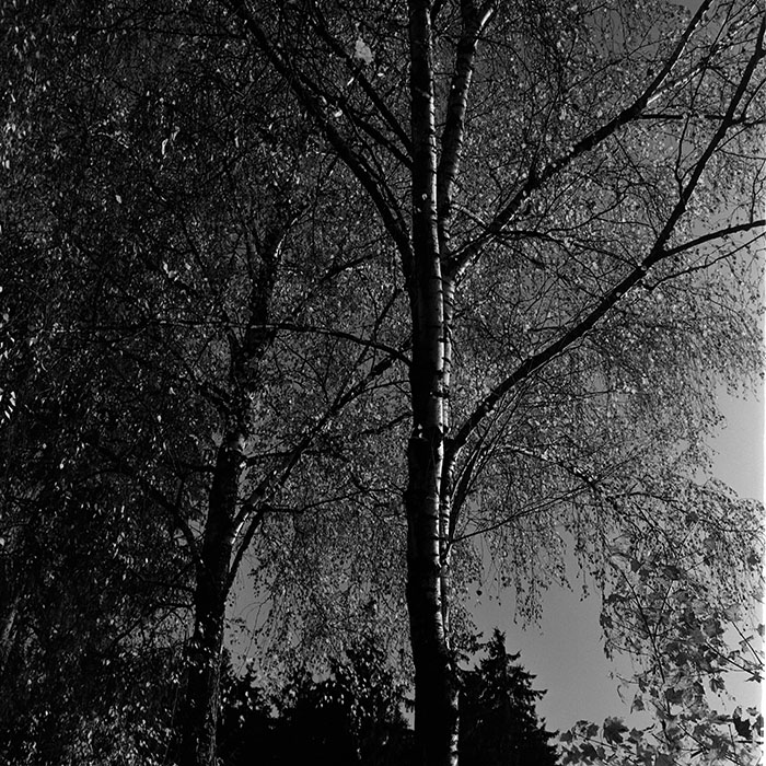 minerva_1967-1973_c3r14_002