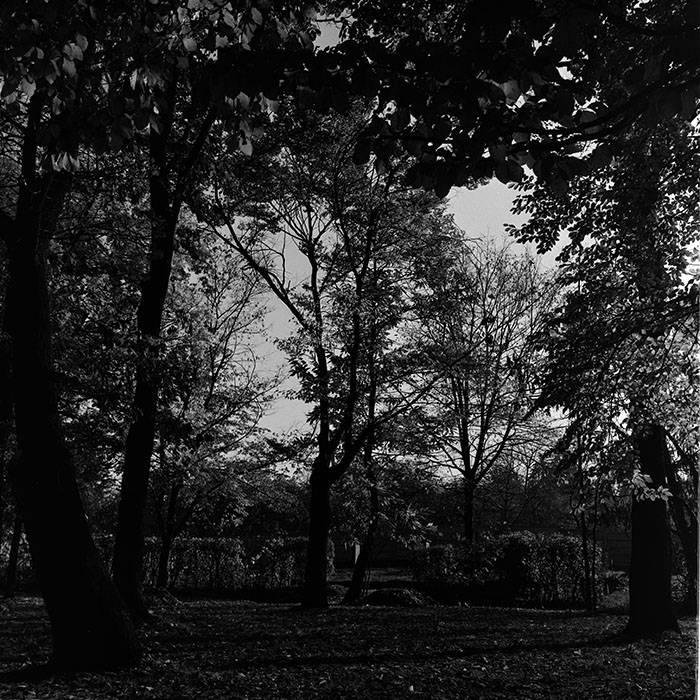 minerva_1967-1973_c3r14_005