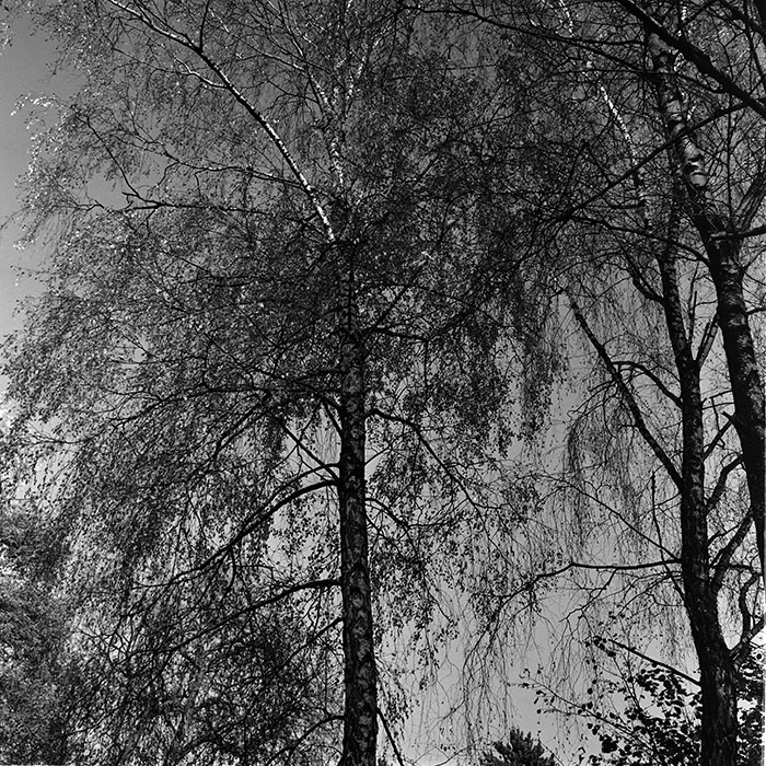 minerva_1967-1973_c3r14_007