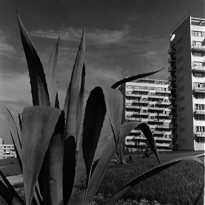 minerva_1967-1973_c3r16_012