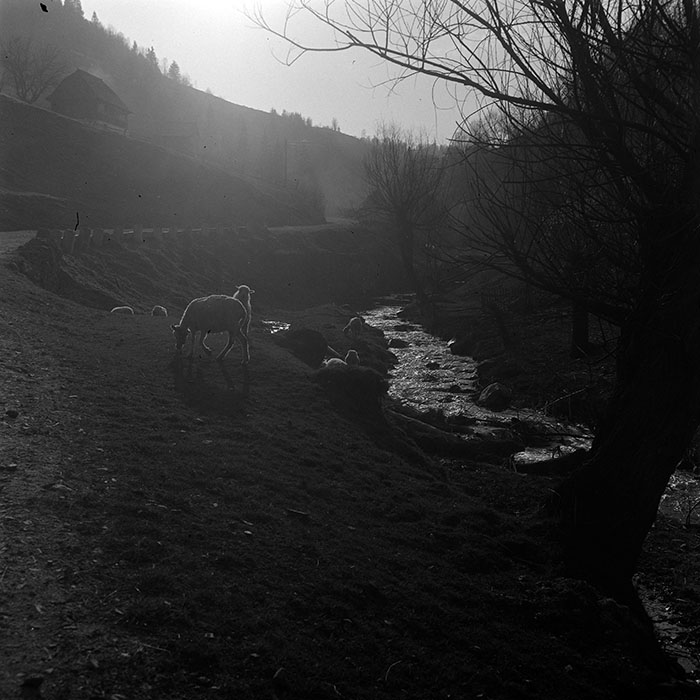 minerva_1967-1973_c3r1_009