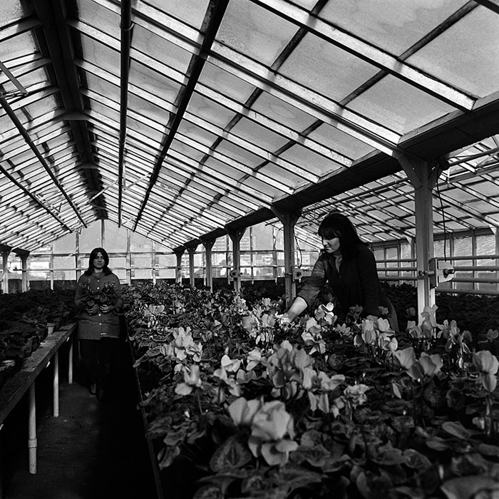 minerva_1967-1973_c3r23_004