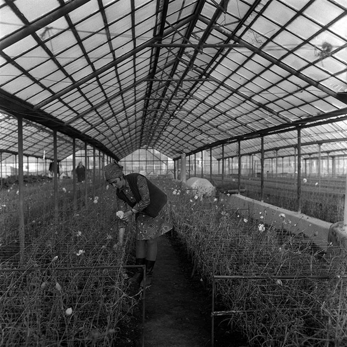 minerva_1967-1973_c4r10_002