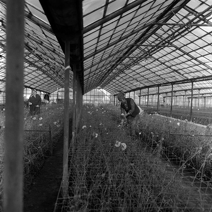 minerva_1967-1973_c4r10_003