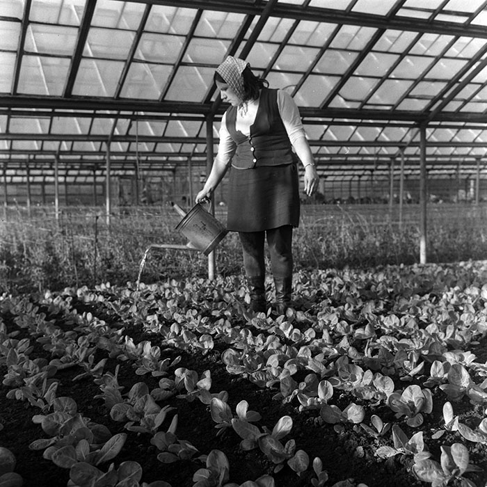 minerva_1967-1973_c4r10_004