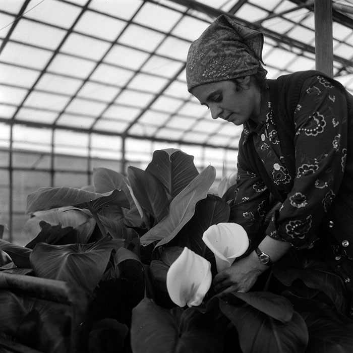 minerva_1967-1973_c4r10_007