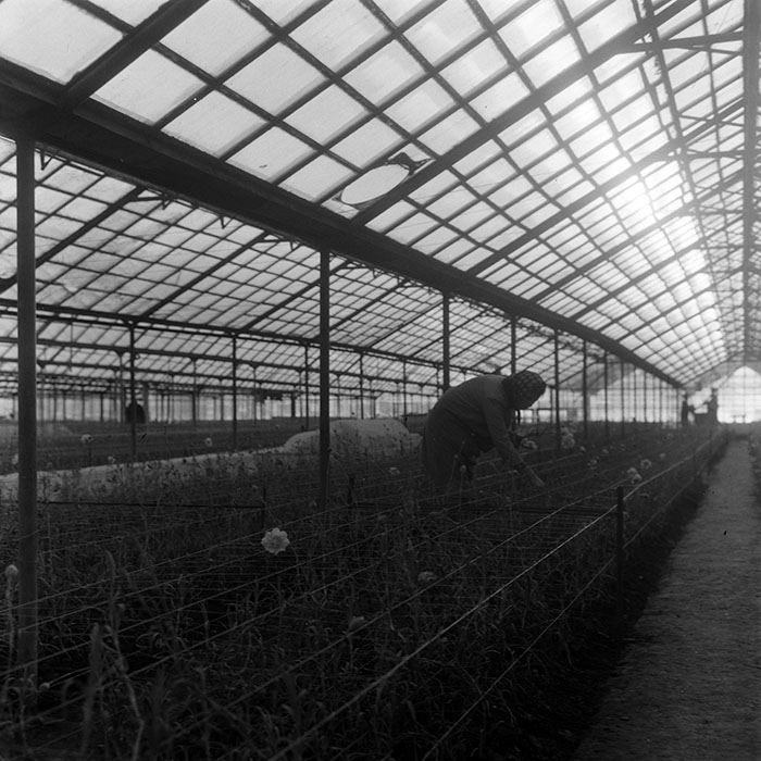 minerva_1967-1973_c4r10_009