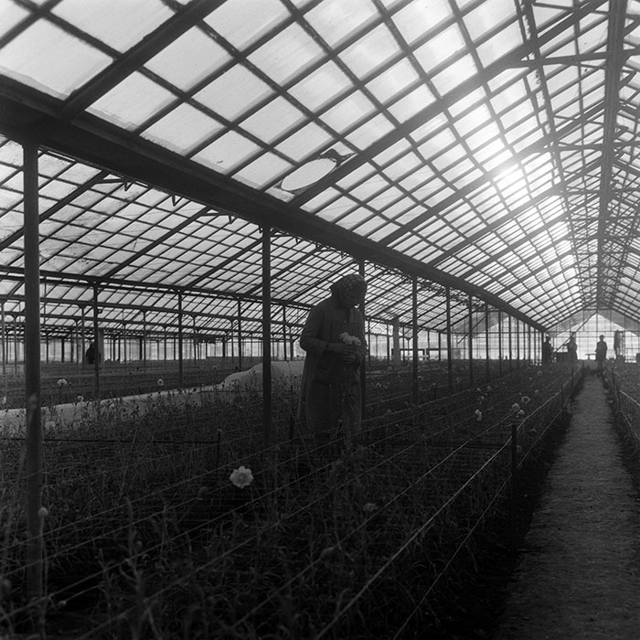 minerva_1967-1973_c4r10_010