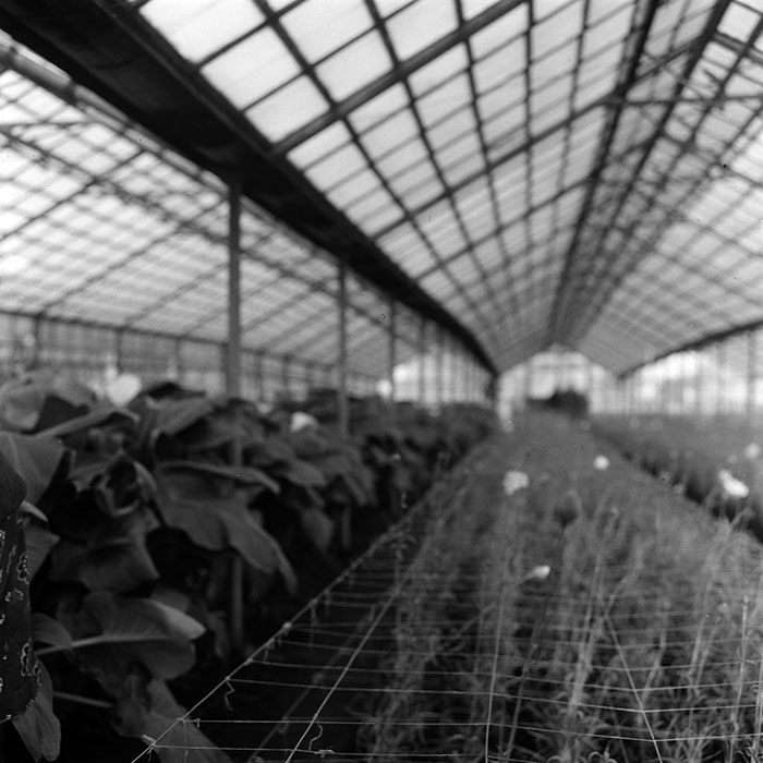 minerva_1967-1973_c4r10_011