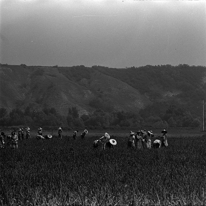 minerva_1967-1973_c4r11_003