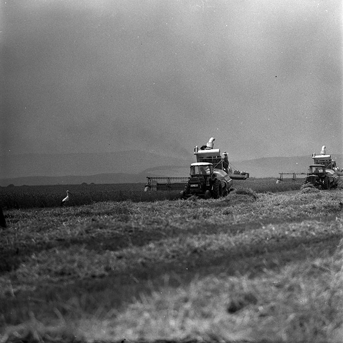 minerva_1967-1973_c4r11_004