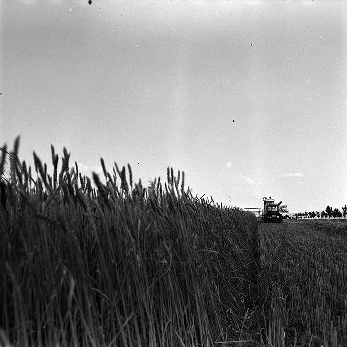 minerva_1967-1973_c4r11_007