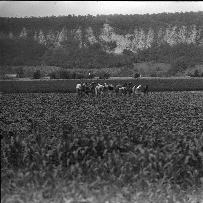 minerva_1967-1973_c4r11_024