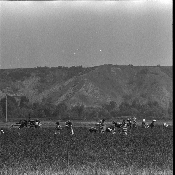 minerva_1967-1973_c4r11_025