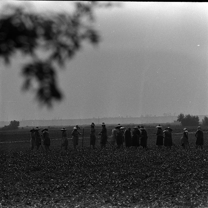 minerva_1967-1973_c4r11_026