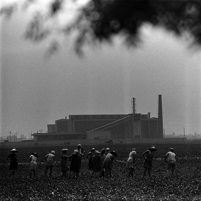 minerva_1967-1973_c4r11_027