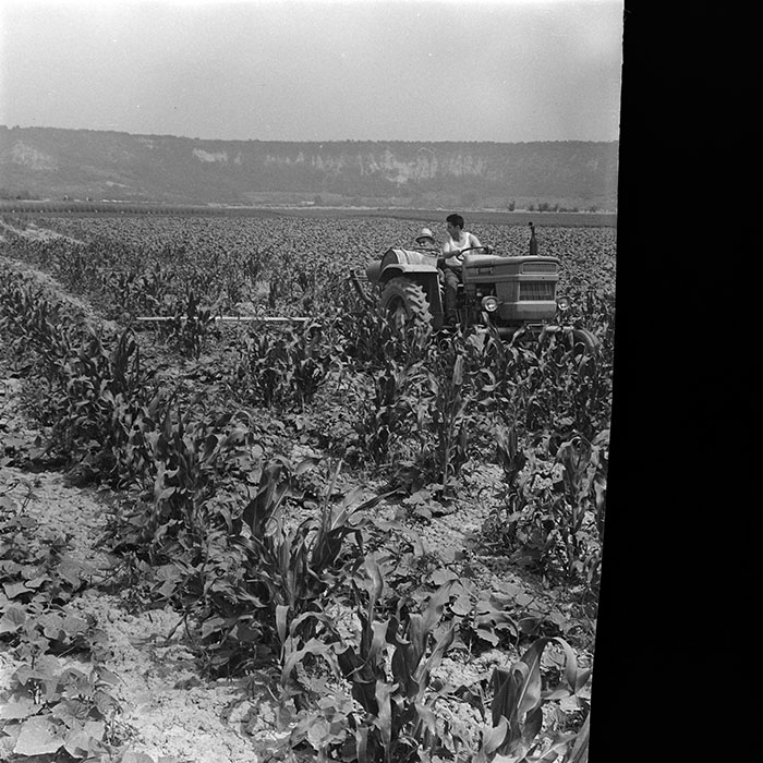 minerva_1967-1973_c4r11_032