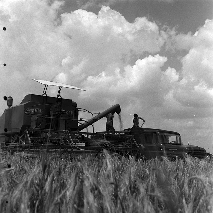 minerva_1967-1973_c4r12_002