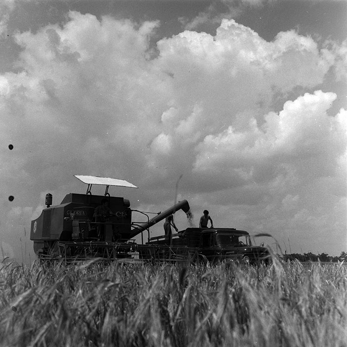 minerva_1967-1973_c4r12_003