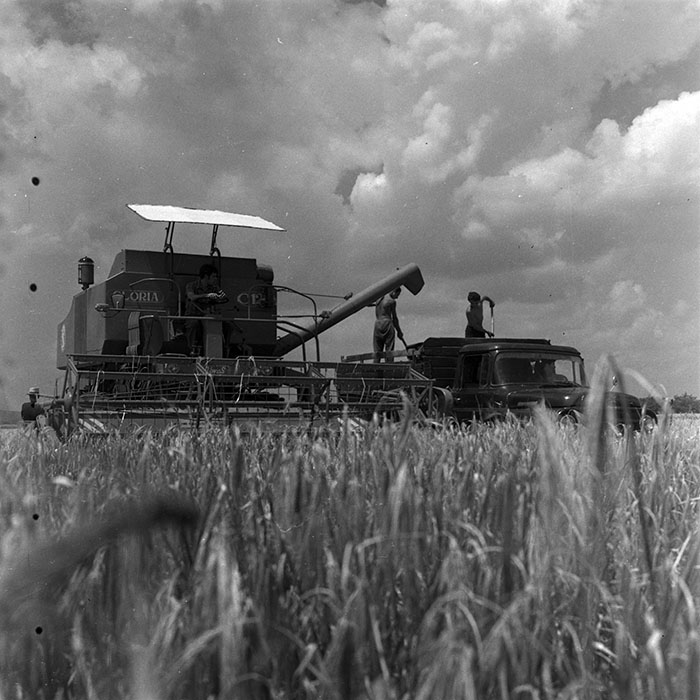 minerva_1967-1973_c4r12_005