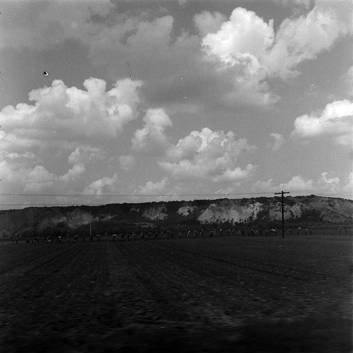 minerva_1967-1973_c4r12_010