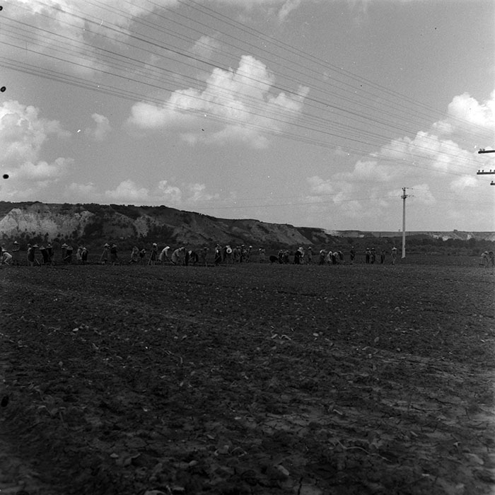 minerva_1967-1973_c4r12_011