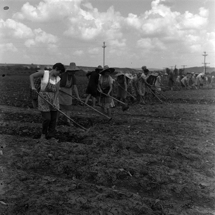 minerva_1967-1973_c4r12_012