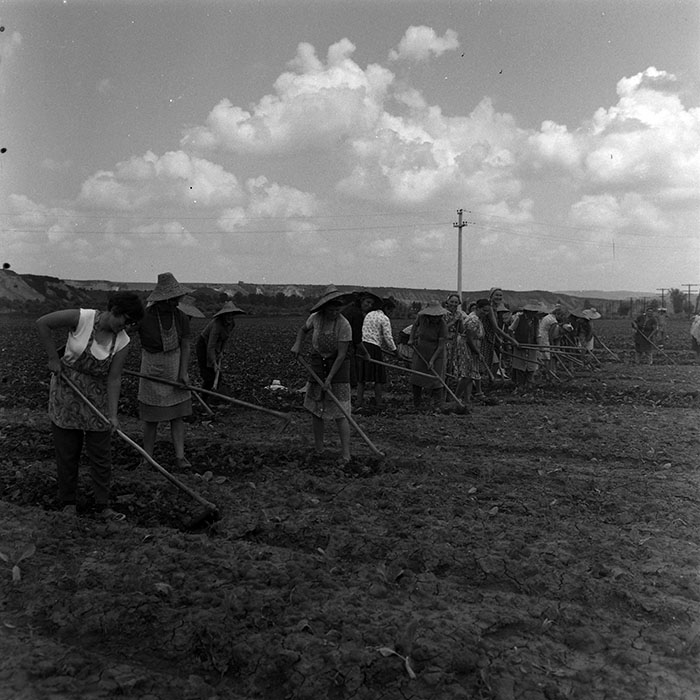 minerva_1967-1973_c4r12_016