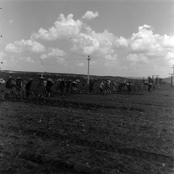 minerva_1967-1973_c4r12_017